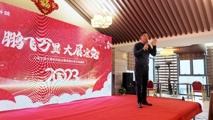 鹏飞万里，大展宏图 大鹏飞科技的腾飞之路